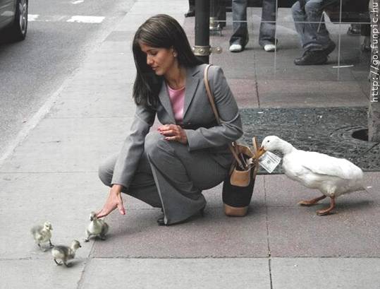 Organizovani kriminal