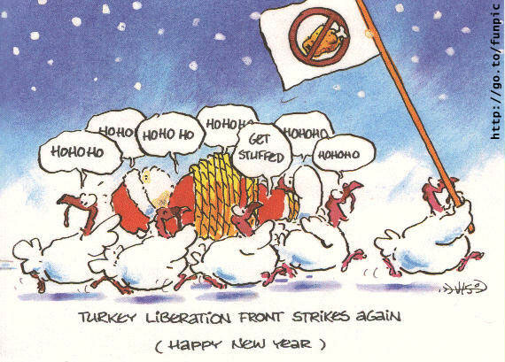 Turkey liberation front