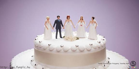 Svadbena torta - kvadrigamija