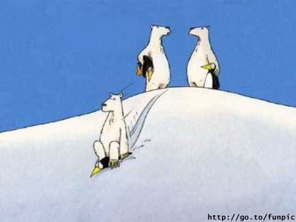 Beli medvedi i pingvini