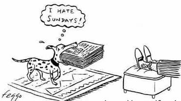 Pas koji mrzi nedelje