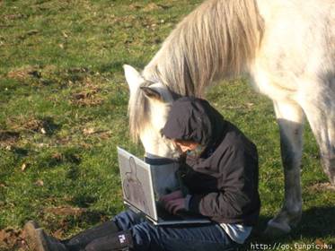 Informatički obrazovan konj
