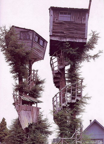 Kućice na drvetu
