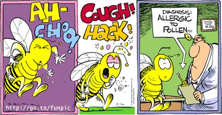 Dijagnoza: Alergija na polen Alergija na polen