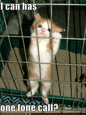 Maca u zatvoru
