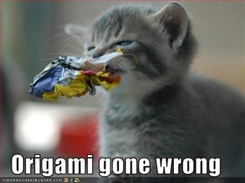 Maca i origami