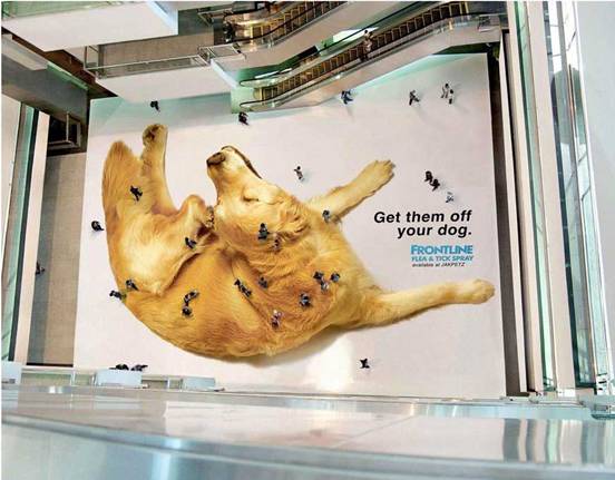 Genijalna reklama za prodavnicu opreme za kućne ljubimce Genijalna reklama