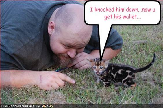 Mačence: Oborio sam ga... Sad mu uzmi novčanik... Mače oborilo rmpajliju