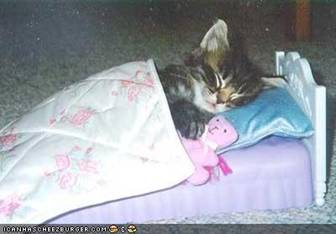 Krevet za mačiće