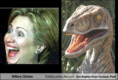 Klintonova & Raptor