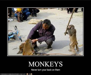 Majmunska posla