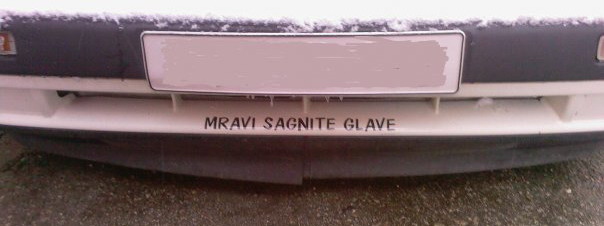 Spu�tena kola mravi