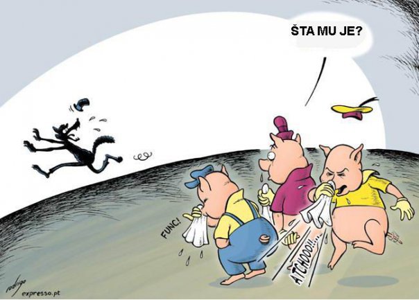 Vuk, tri praseta i svinjska gripa