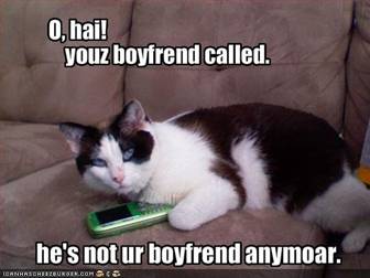 Maca na telefonu