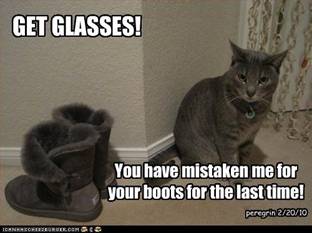 Mačka i čizme
