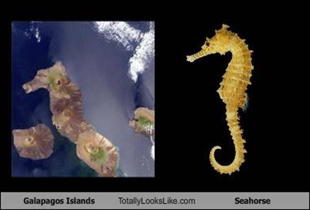 TLL Ostrva Galapagos i Morski konjic