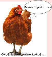 Okoš bokoš prdne kokoš