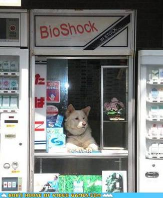 Biošok Biošok