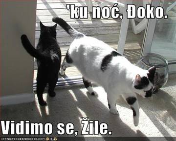 Đole i Žile