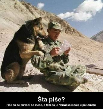 Vojnik i nemački ovčar