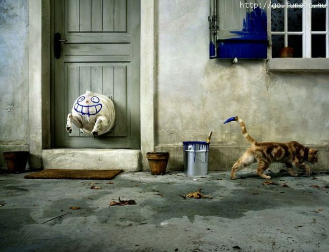 Zaglavljeni buldog Zaglavljeni buldog