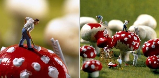 Umetnost: Pečurke Umetnost: Pečurke