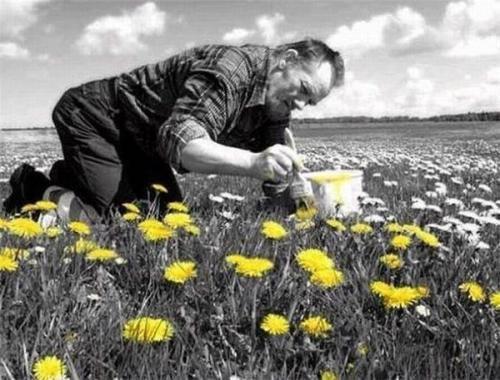 Maslačci na proleće