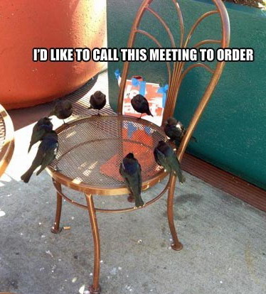 Ptiji sastanak