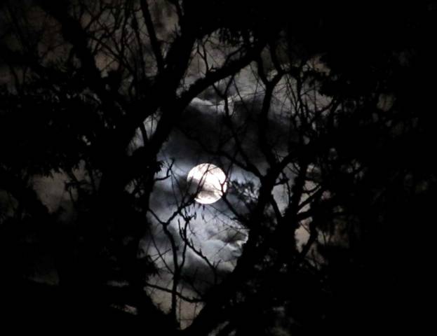 Oblačno Noć veštica