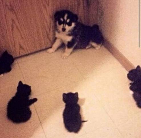 E, sad si gotov! E sad si gotov!