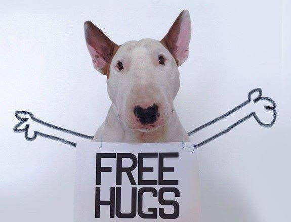 "Besplatni zagrljaji" Fotougao