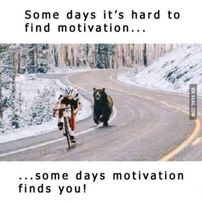 Motivacija