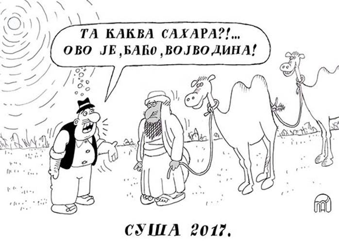 Ta, kakva Sahara? Ovo je, baćo, Vojvodina! (Suša 2017. - Srdić) Srdić - Suša