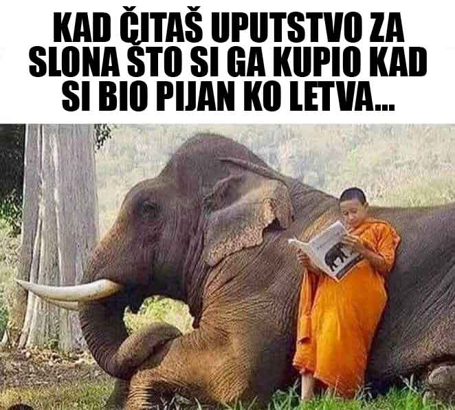 Slon