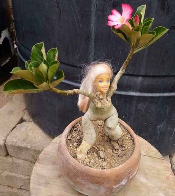 Barbika