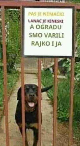 Opasan pas ograda lanac